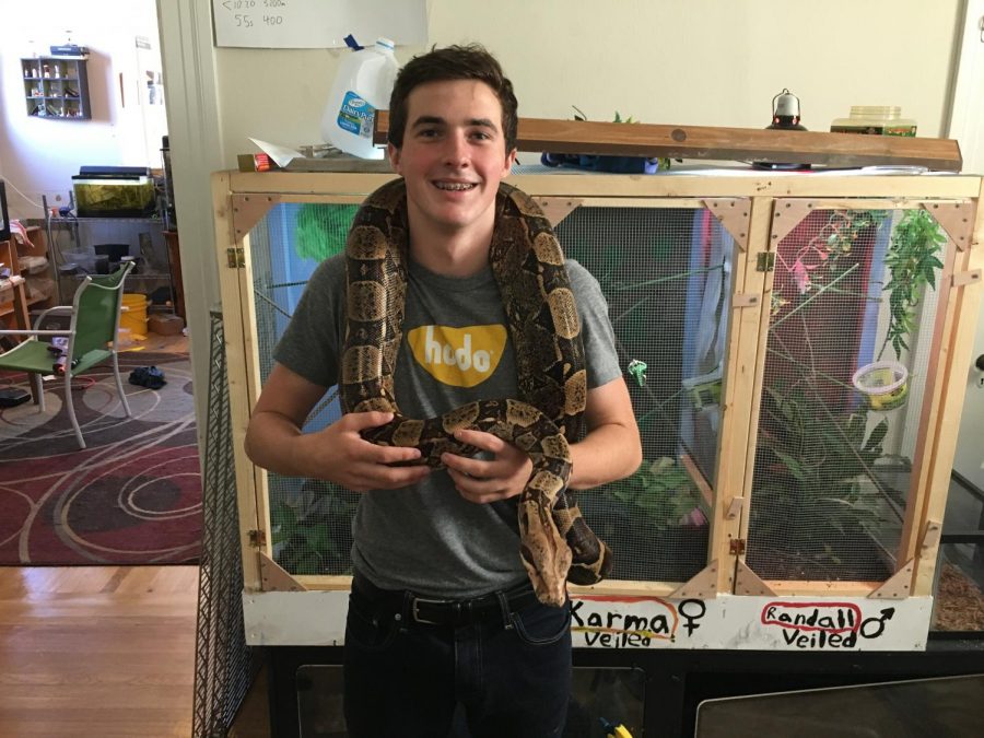 Junior Nathan Chamberlin with boa constrictor Lucy.