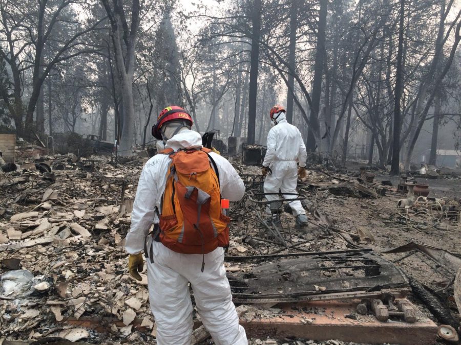 Over 500 Search and Rescue members from across the state of California participated in the largest recorded search efforts following the Camp Fire. 