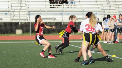 Senior quarterback and co-captain Susan Wong scans the field for an open receiver.
