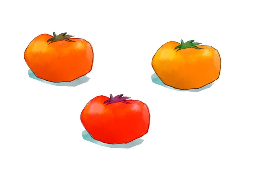 tomatoes salt fat acid heat