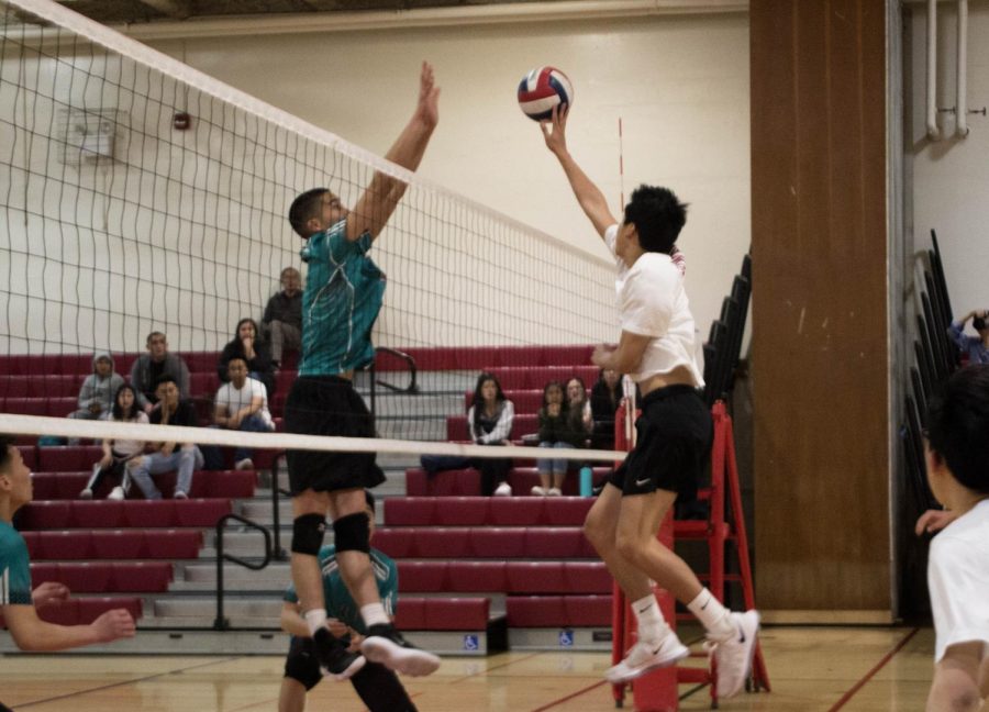 Leaping with agility for a cut shot, sophomore middle blocker Derek Quach attempts to undermine the Burton Pumas.
