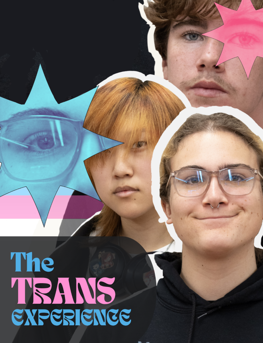 The Trans Experience: Students Across and Beyond the Binary